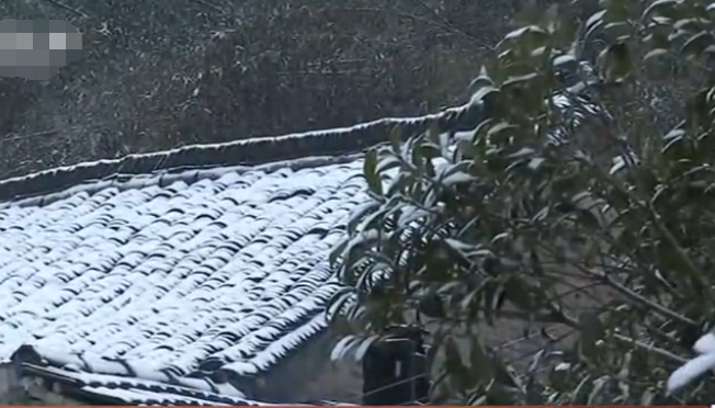 未安装午夜视频免费在线观看的屋顶上的积雪